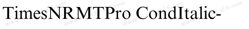 TimesNRMTPro CondItalic字体转换